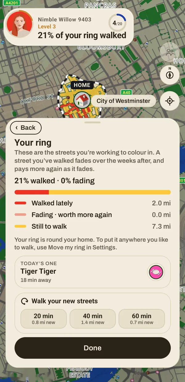 Your ring: the streets round home, with how much of it has been walked.